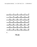 Methods to identify compounds useful for the treatment of proliferative and differentiative disorders diagram and image