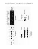 Methods to identify compounds useful for the treatment of proliferative and differentiative disorders diagram and image