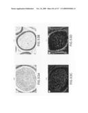 Methods to identify compounds useful for the treatment of proliferative and differentiative disorders diagram and image