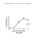 Methods to identify compounds useful for the treatment of proliferative and differentiative disorders diagram and image