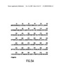 Methods to identify compounds useful for the treatment of proliferative and differentiative disorders diagram and image