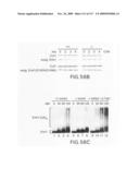 Methods to identify compounds useful for the treatment of proliferative and differentiative disorders diagram and image