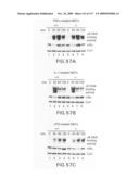 Methods to identify compounds useful for the treatment of proliferative and differentiative disorders diagram and image