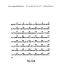 Methods to identify compounds useful for the treatment of proliferative and differentiative disorders diagram and image