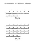 Methods to identify compounds useful for the treatment of proliferative and differentiative disorders diagram and image