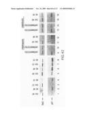 Methods to identify compounds useful for the treatment of proliferative and differentiative disorders diagram and image