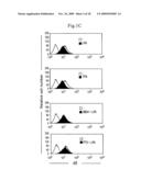 Inhibition of TACE or amphiregulin for the Modulation of EGF Receptor Signal Transactivation diagram and image