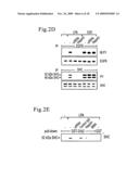 Inhibition of TACE or amphiregulin for the Modulation of EGF Receptor Signal Transactivation diagram and image