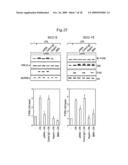 Inhibition of TACE or amphiregulin for the Modulation of EGF Receptor Signal Transactivation diagram and image