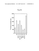 Inhibition of TACE or amphiregulin for the Modulation of EGF Receptor Signal Transactivation diagram and image