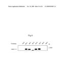 Inhibition of TACE or amphiregulin for the Modulation of EGF Receptor Signal Transactivation diagram and image