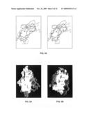 Recombinant soluble Fc receptors diagram and image