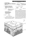 Method and apparatus for positioning a tissue recovery instrument in confronting adjacency with a target tissue volume diagram and image