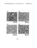 Porous Niobium Oxide as Electrode Material and Manufacturing Process diagram and image