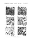 Porous Niobium Oxide as Electrode Material and Manufacturing Process diagram and image