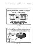 Isolated Polypeptides, Polynucleotides Encoding Same, Transgenic Plants Expressing Same and Methods of Using Same diagram and image