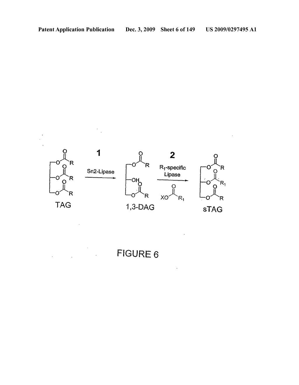 HYDROLASES, NUCLEIC ACIDS ENCODING THEM AND METHODS FOR IMPROVING PAPER STRENGTH - diagram, schematic, and image 08