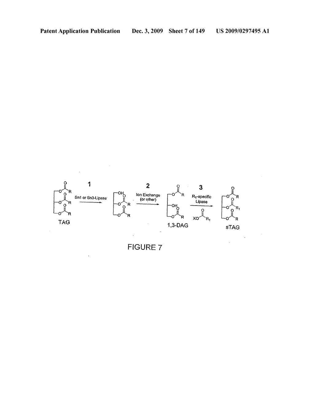 HYDROLASES, NUCLEIC ACIDS ENCODING THEM AND METHODS FOR IMPROVING PAPER STRENGTH - diagram, schematic, and image 09