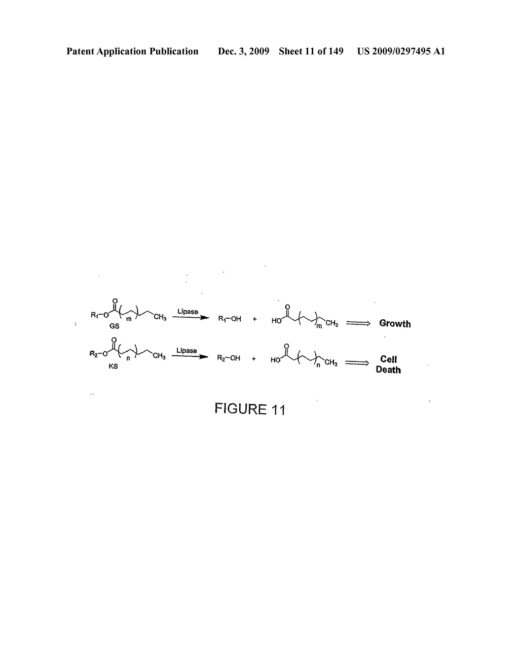 HYDROLASES, NUCLEIC ACIDS ENCODING THEM AND METHODS FOR IMPROVING PAPER STRENGTH - diagram, schematic, and image 13