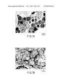 BONE MARROW-DIRECTING DRUG DELIVERY MATERIALS AND THEIR APPLICATIONS diagram and image