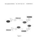 Method of Biomolecule Immobilization On Polymers Using Click-Type Chemistry diagram and image