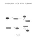 Method of Biomolecule Immobilization On Polymers Using Click-Type Chemistry diagram and image