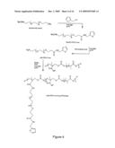 Method of Biomolecule Immobilization On Polymers Using Click-Type Chemistry diagram and image