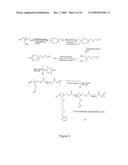 Method of Biomolecule Immobilization On Polymers Using Click-Type Chemistry diagram and image