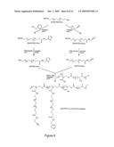 Method of Biomolecule Immobilization On Polymers Using Click-Type Chemistry diagram and image