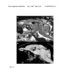 NANOPARTICLES, METHODS OF MAKING SAME AND CELL LABELING USING SAME diagram and image