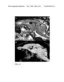 NANOPARTICLES, METHODS OF MAKING SAME AND CELL LABELING USING SAME diagram and image