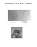 NANOPARTICLES, METHODS OF MAKING SAME AND CELL LABELING USING SAME diagram and image