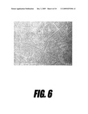 METHODS FOR FORMING CONDUCTIVE TITANIUM OXIDE THIN FILMS diagram and image