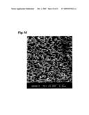 POROUS MULTILAYERED HOLLOW-FIBER MEMBRANE AND PROCESS FOR PRODUCING THE SAME diagram and image