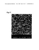 POROUS MULTILAYERED HOLLOW-FIBER MEMBRANE AND PROCESS FOR PRODUCING THE SAME diagram and image