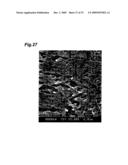 POROUS MULTILAYERED HOLLOW-FIBER MEMBRANE AND PROCESS FOR PRODUCING THE SAME diagram and image