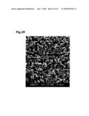 POROUS MULTILAYERED HOLLOW-FIBER MEMBRANE AND PROCESS FOR PRODUCING THE SAME diagram and image