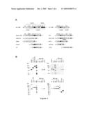 HIGH AFFINITY BINDING SITE OF HGFR AND METHODS FOR IDENTIFICATION OF ANTAGONISTS THEREOF diagram and image
