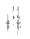 Phospho-Specific Anti-Pax3 Antibodies diagram and image