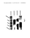 Phospho-Specific Anti-Pax3 Antibodies diagram and image