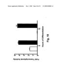 Phospho-Specific Anti-Pax3 Antibodies diagram and image