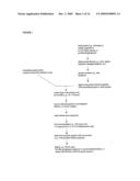 Reagents for the Detection of Protein Phosphorylation in ATM & ATR Kinase Signaling Pathways diagram and image