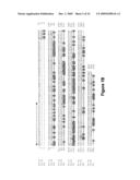 Identification and characterization of racemases, definition of protein signatures, and a test for detecting D-amino acid and for screening molecules capable of inhibiting the activity of racemase, especially proline racemase diagram and image