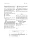 Identification and characterization of racemases, definition of protein signatures, and a test for detecting D-amino acid and for screening molecules capable of inhibiting the activity of racemase, especially proline racemase diagram and image