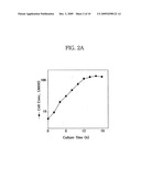 Translational Elongation Factor Promoter From Pichia Pastoris And Method For Producing Recombinant Protein Using The Same diagram and image