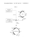 Translational Elongation Factor Promoter From Pichia Pastoris And Method For Producing Recombinant Protein Using The Same diagram and image