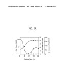 Translational Elongation Factor Promoter From Pichia Pastoris And Method For Producing Recombinant Protein Using The Same diagram and image