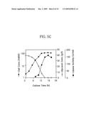 Translational Elongation Factor Promoter From Pichia Pastoris And Method For Producing Recombinant Protein Using The Same diagram and image