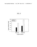 Translational Elongation Factor Promoter From Pichia Pastoris And Method For Producing Recombinant Protein Using The Same diagram and image