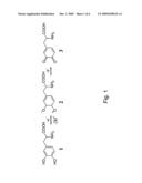 Site-specific incorporation of redox active amino acids into proteins diagram and image